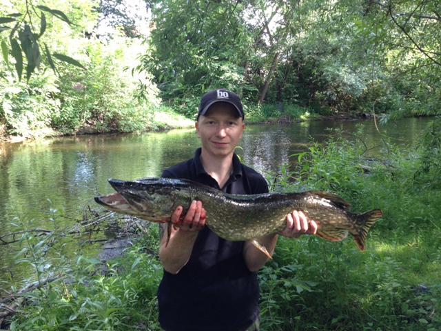 Eric Stauche -  Hecht 
 95 cm - 6500 gr 
 Hohenwartestausee 
 Gummifisch 
 27.06.2012 
   